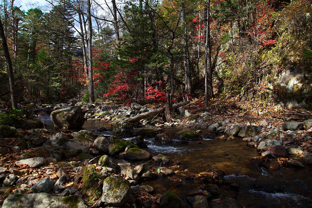 По тропе вдоль Еламовского...