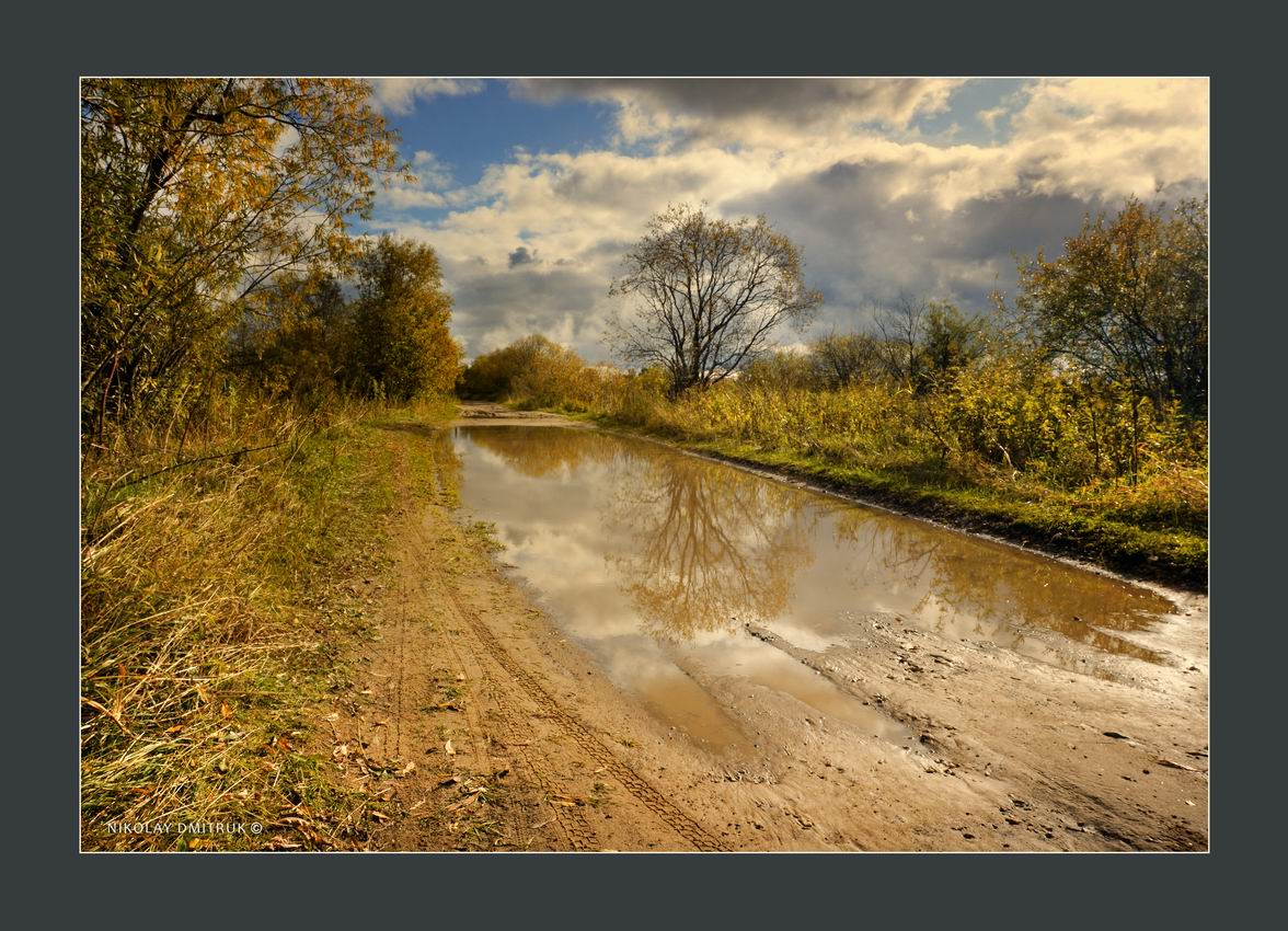 ива. дорога осени. 2019