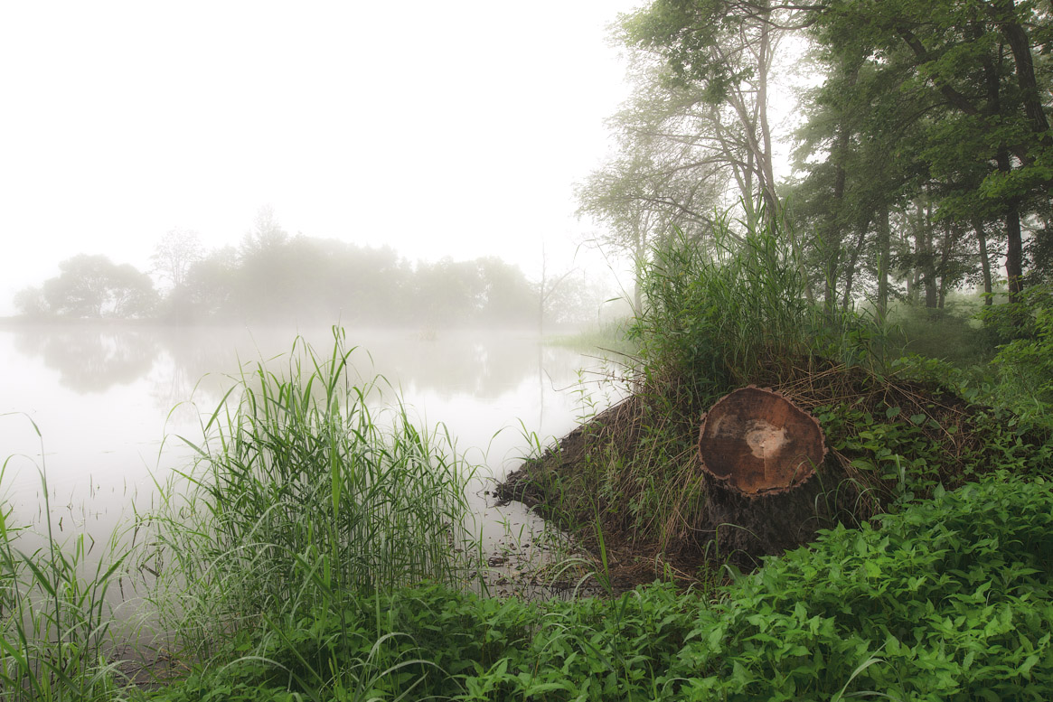 Озеро с туманом.