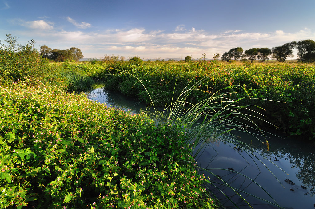 Русские долинки