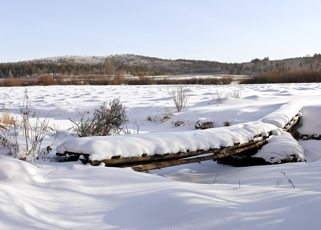 Зимующий  мостик