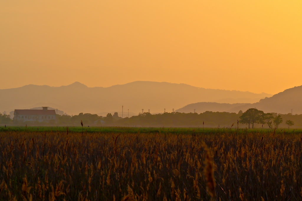 Закат в поле
