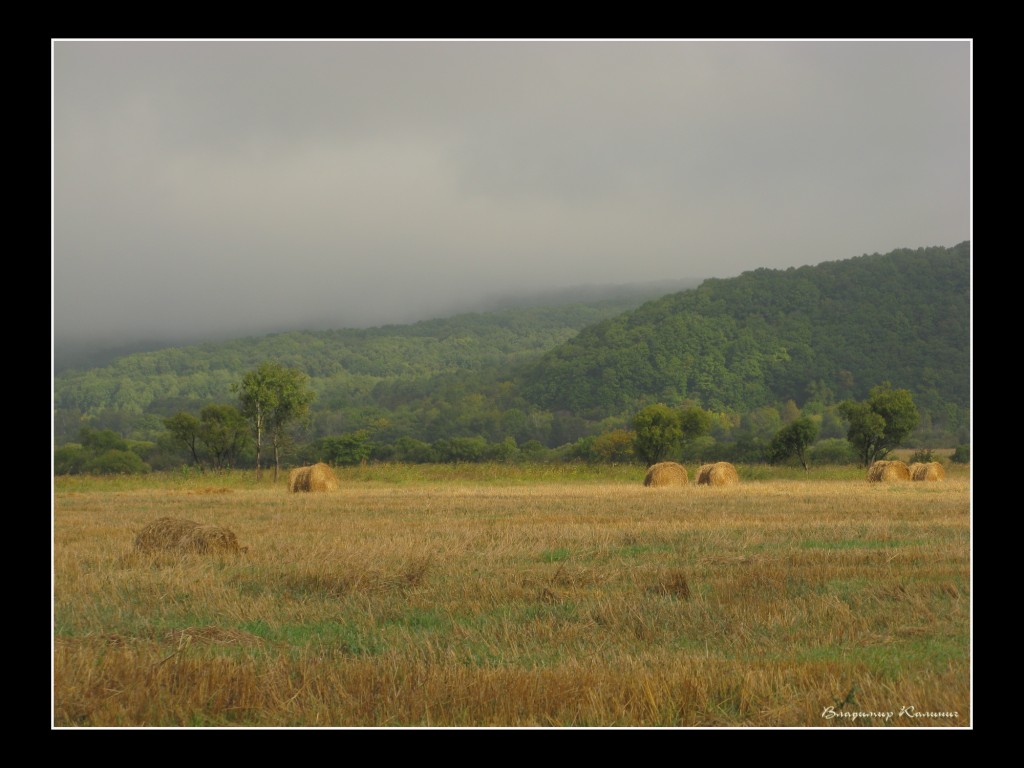 Осенние туманы