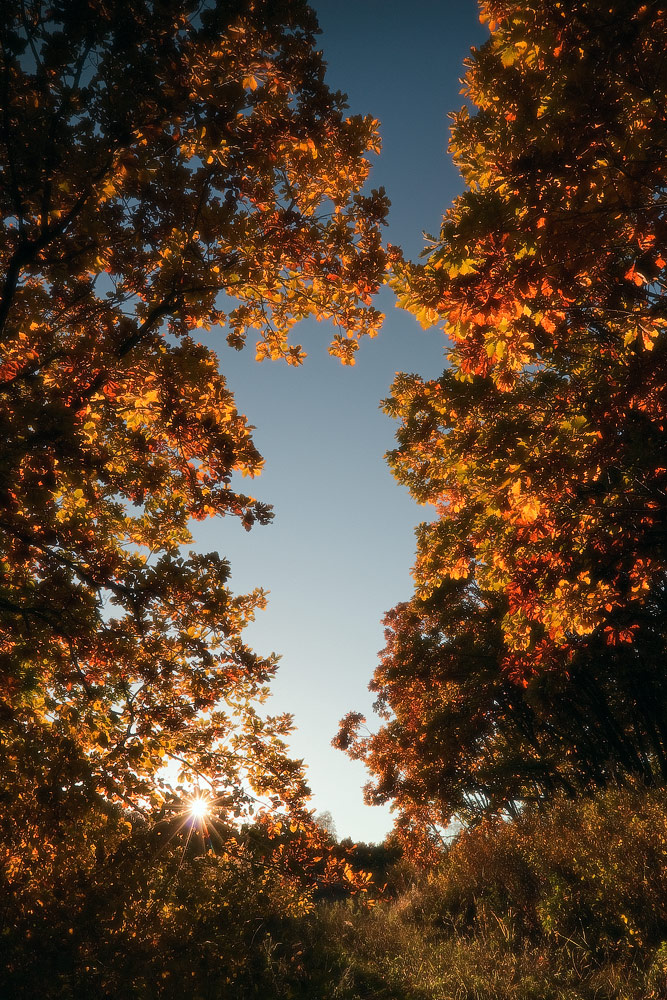 полыхнуло...