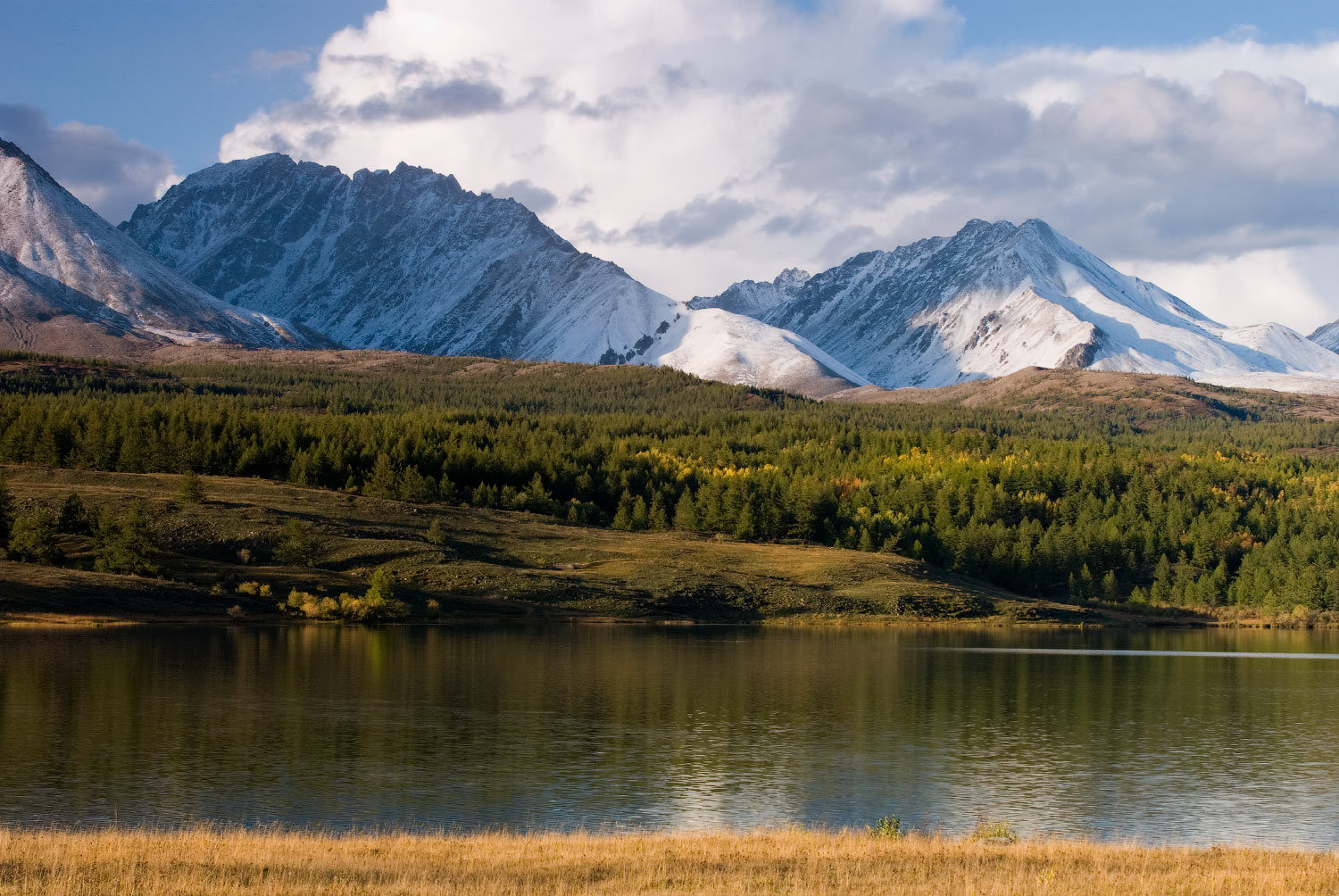 На озере Шара- Нуур