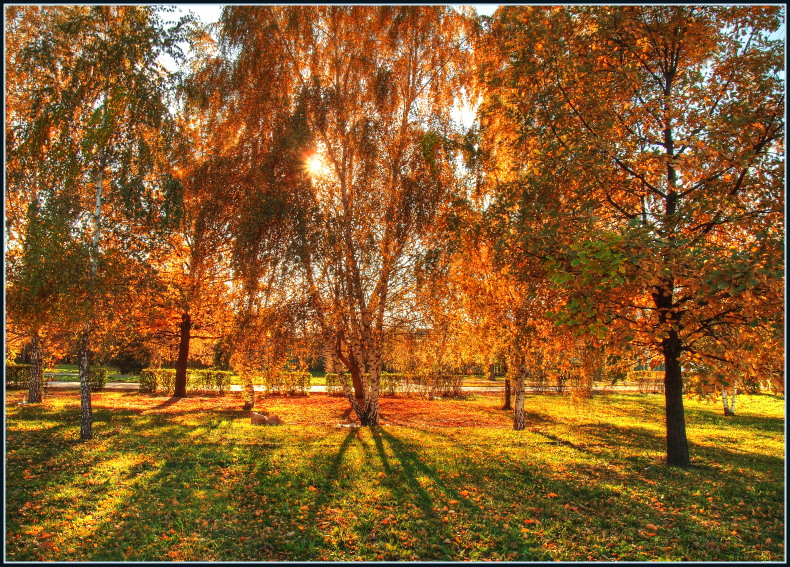 Краски осени