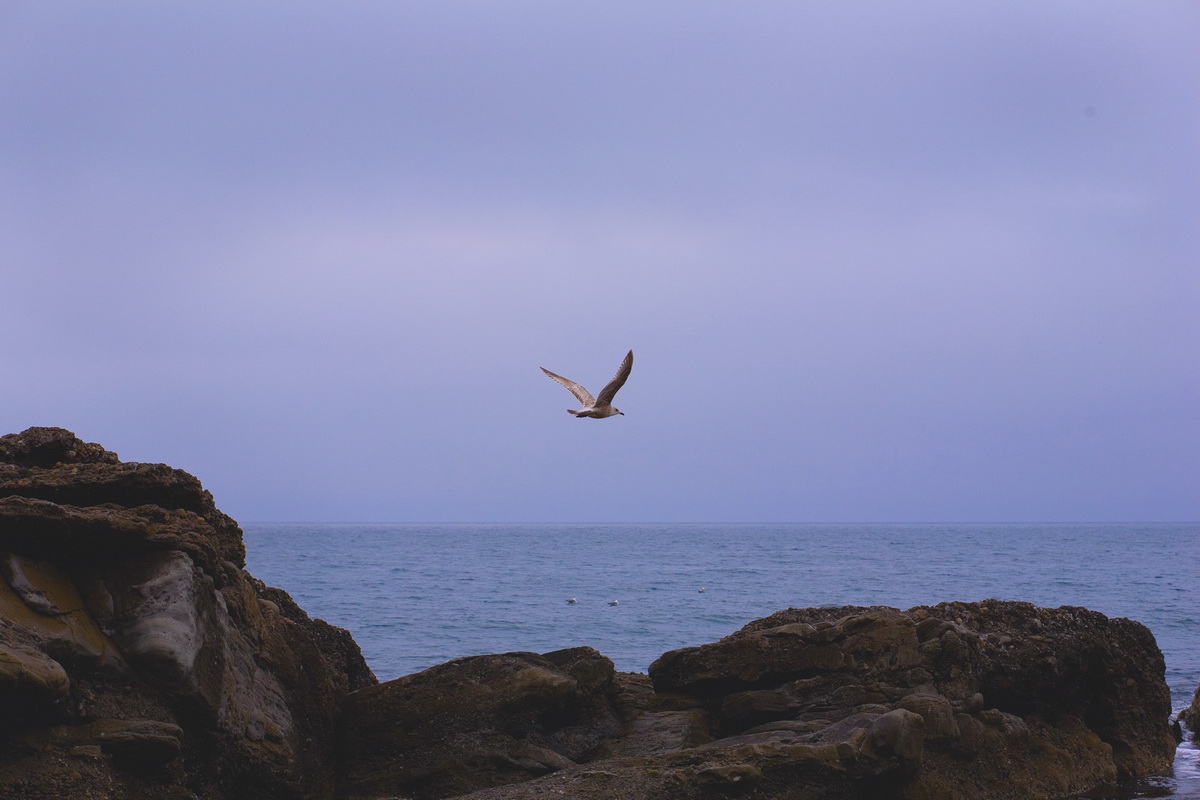 северные земли