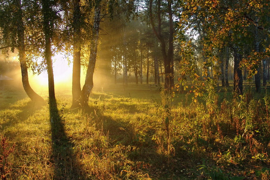 Солнце взошло