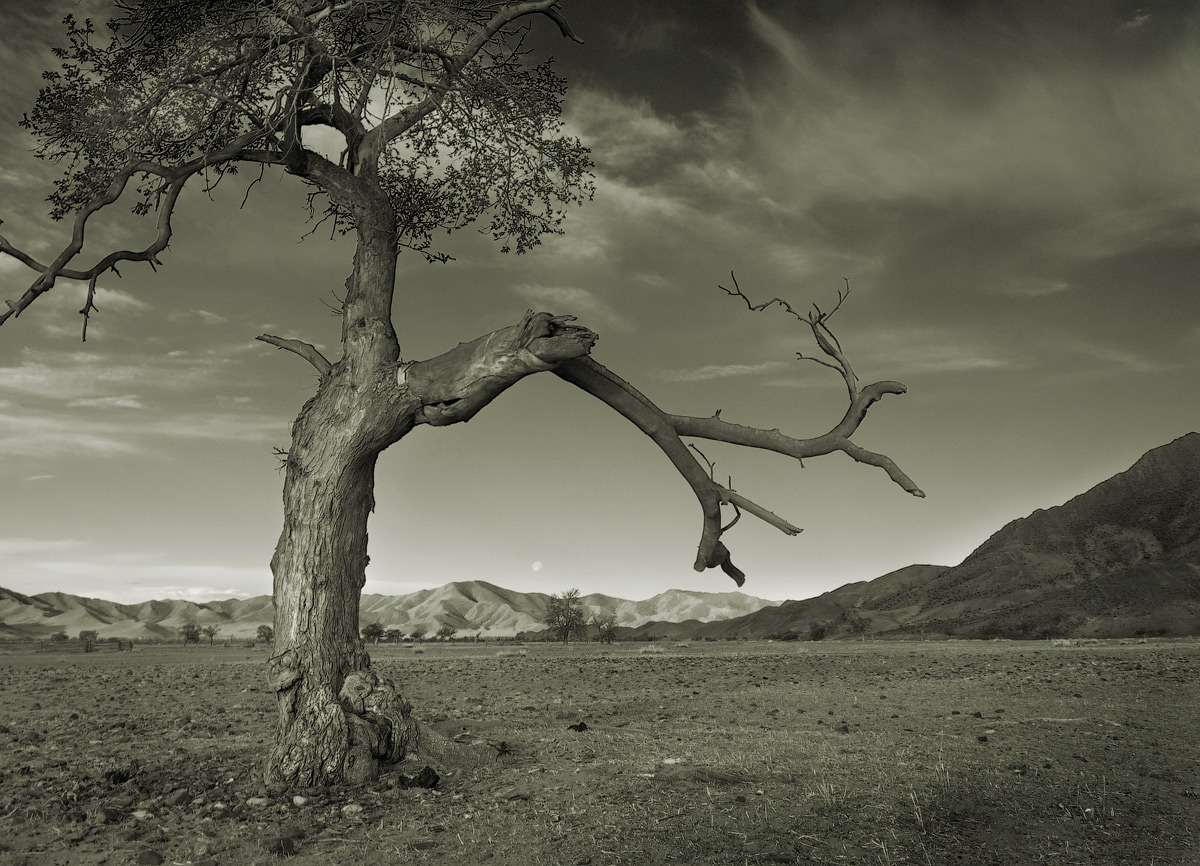 жажда жизни