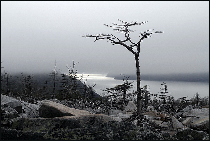 Там, за туманами...