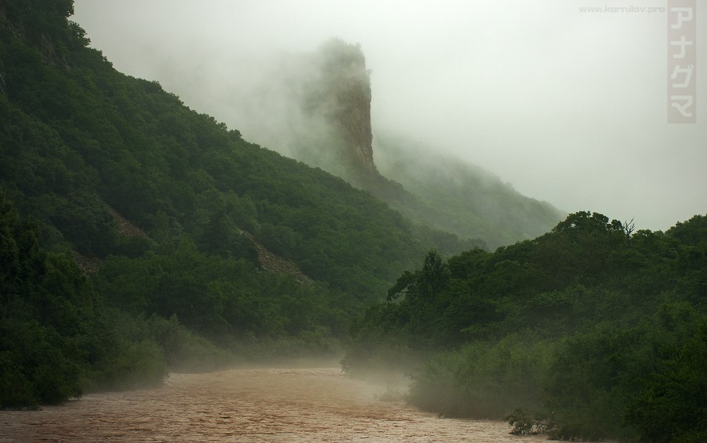 крупные планы