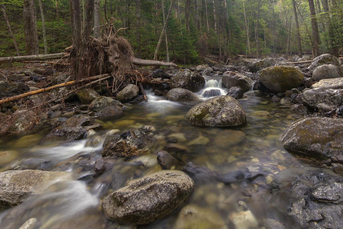 Таежный ключ.Вода и камни.