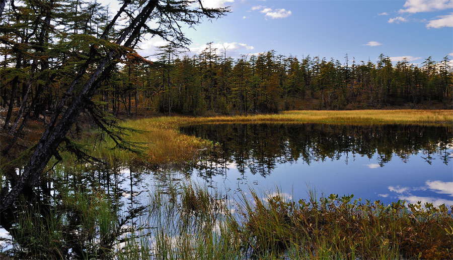 Лишь озеро в тихом вечернем огне лежит в глубине, неподвижно сияя...
