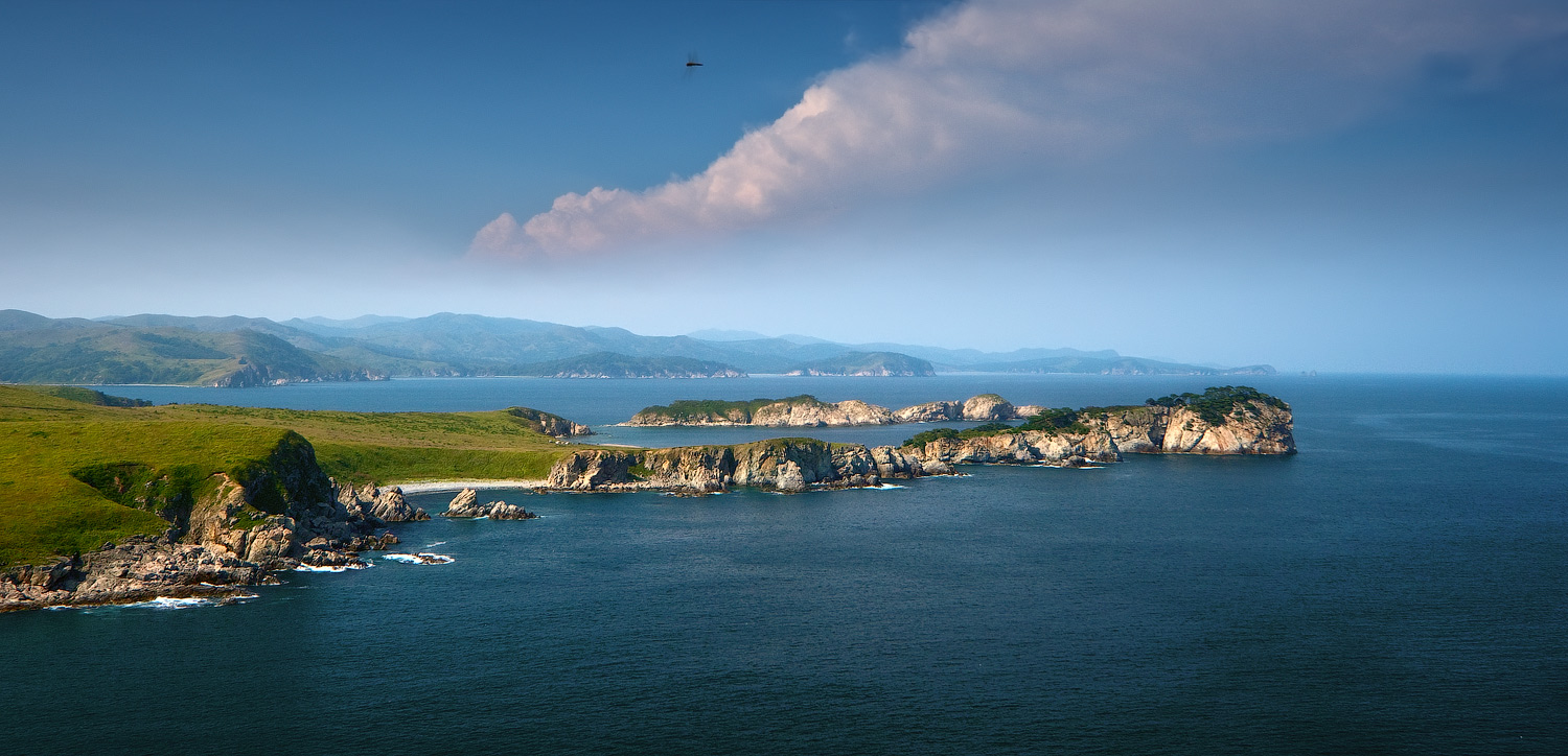 ...со стрекозой