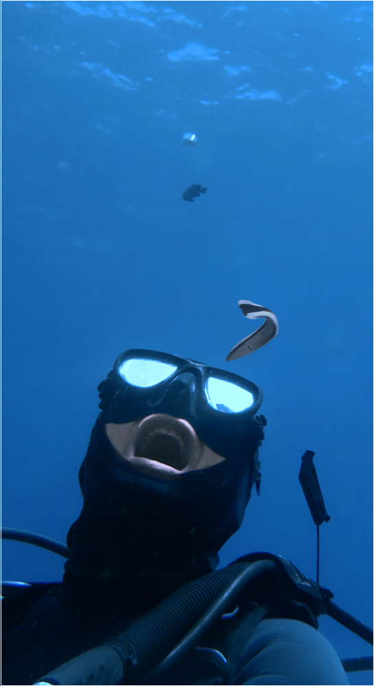 Дайверский юмор