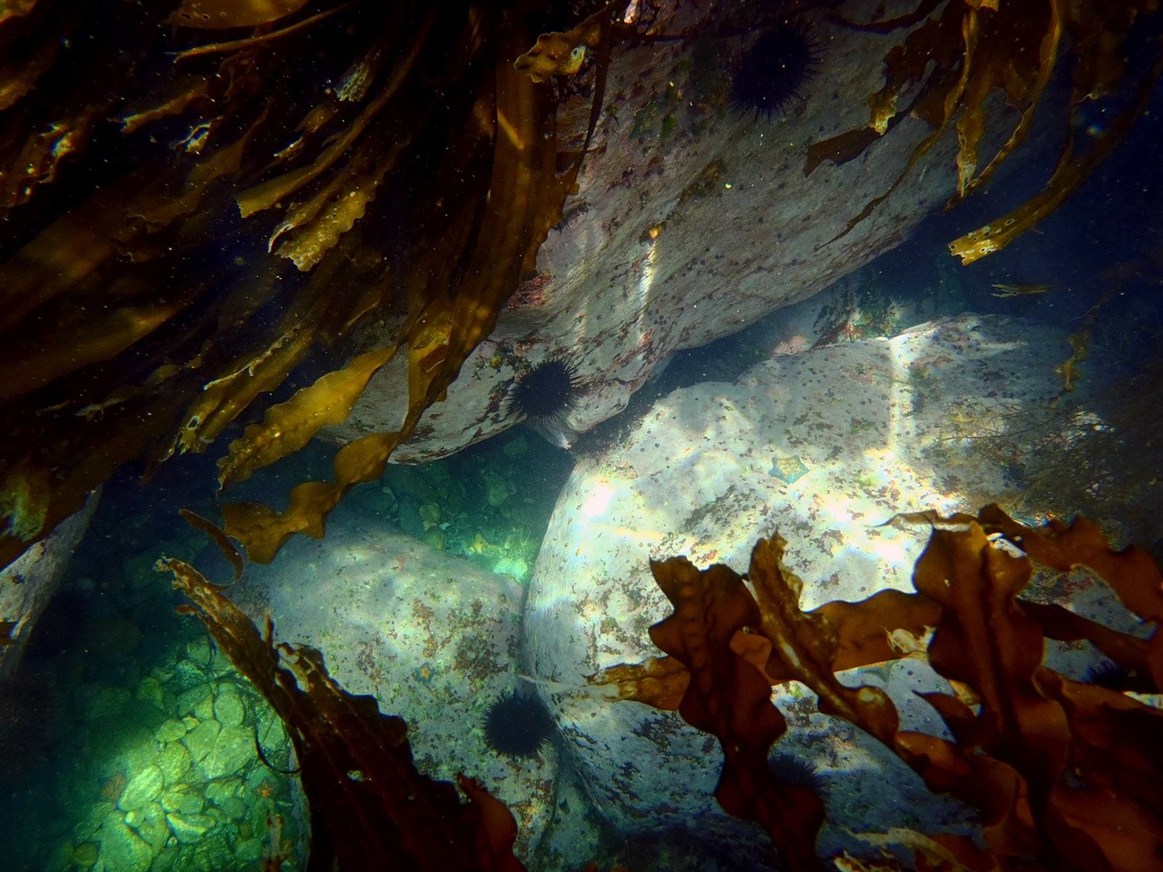 Блики солнца в глубине