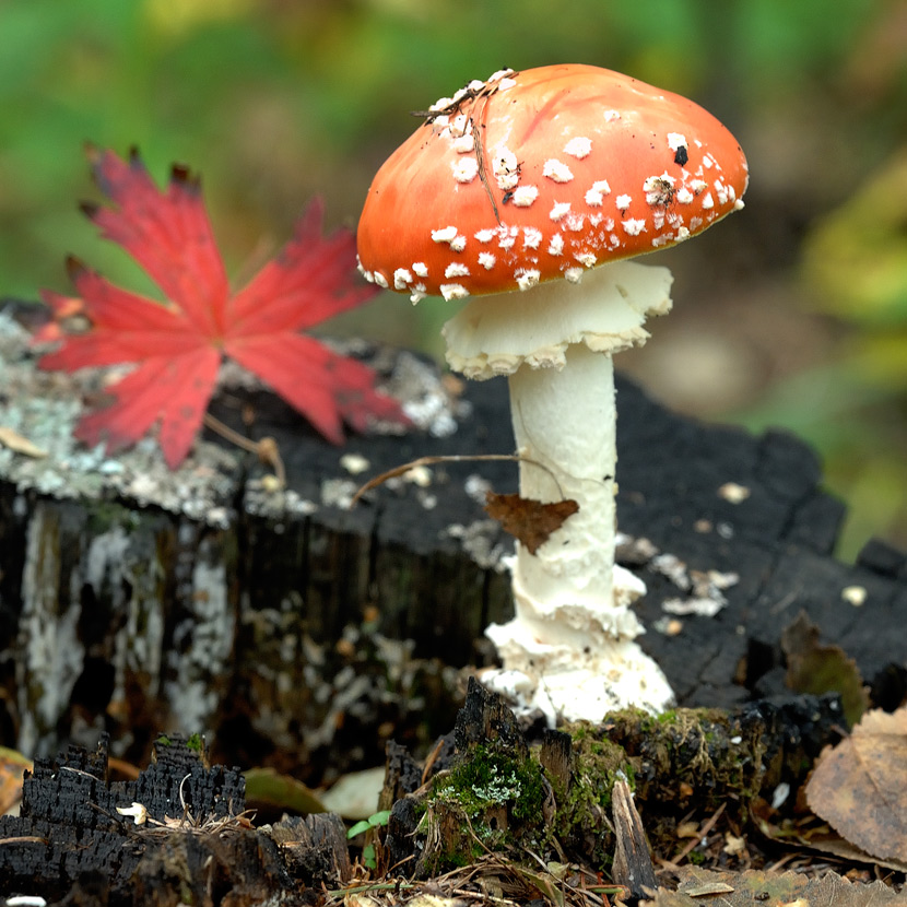 переведи время!!!