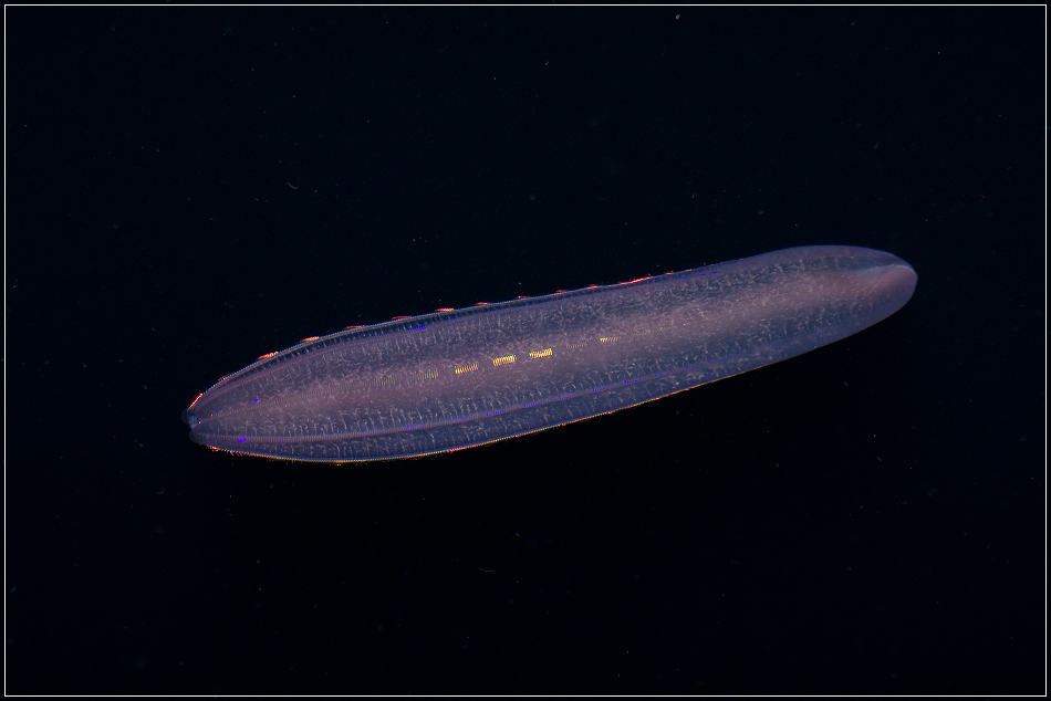 Создание гидрокосмоса