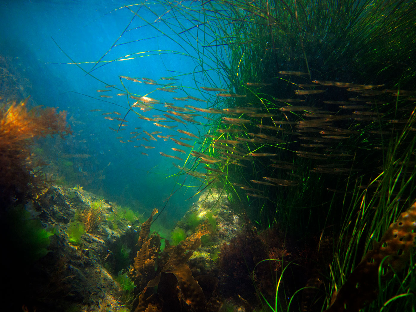 Сентябрьский хоровод