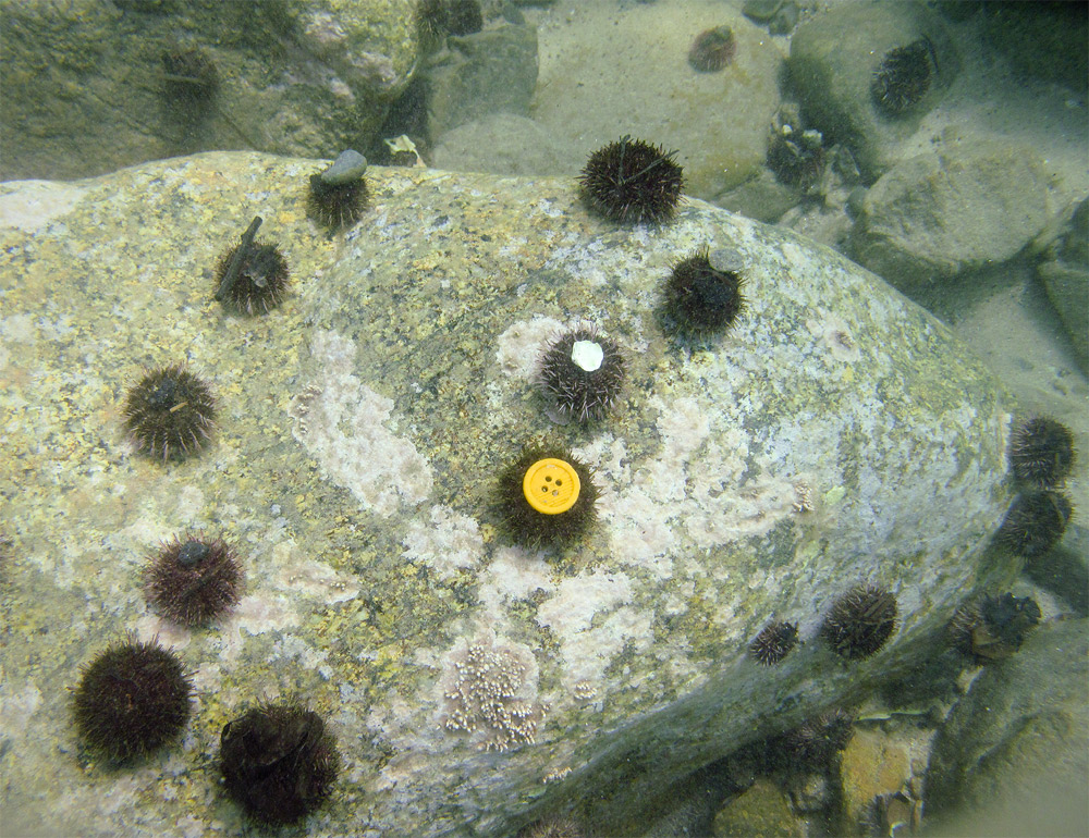 выделиться можно и молча