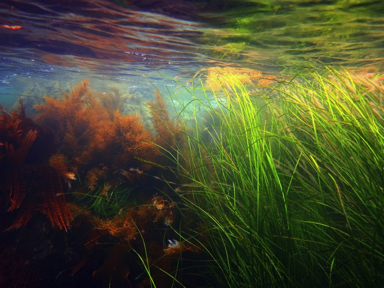 У поверхности