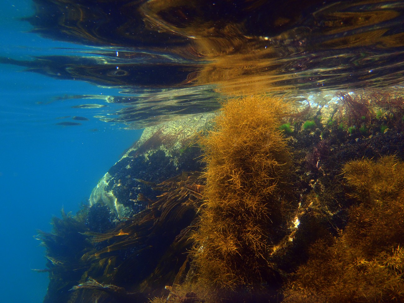 Под отражением