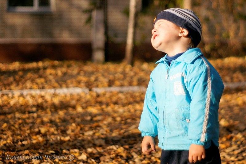 Редкое солнышко
