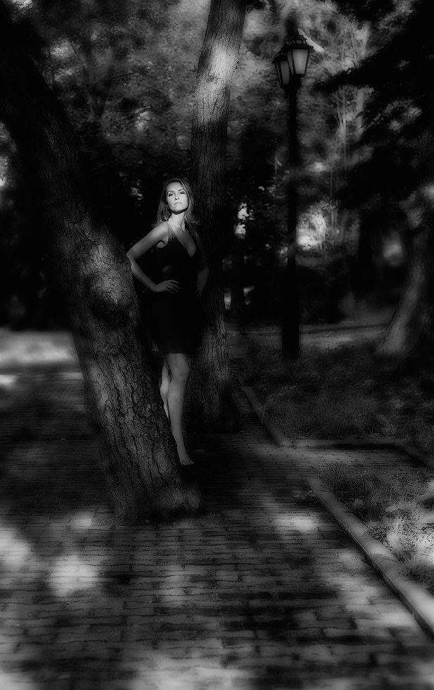 Свет и тени