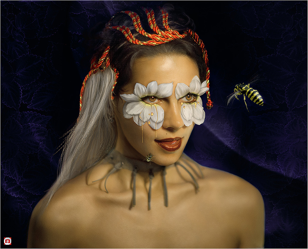 Сладкая жизнь