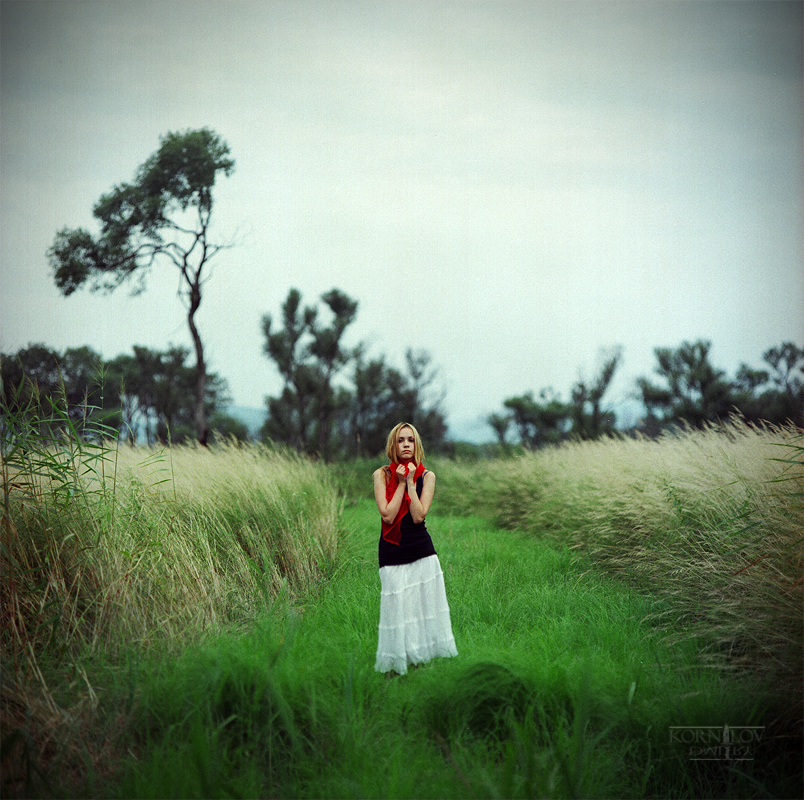 в траве в мураве