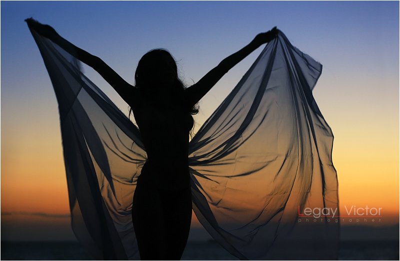 ночная бабочка