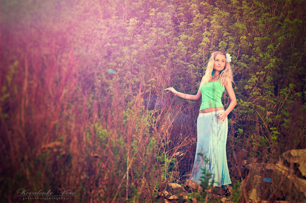 солнечный день