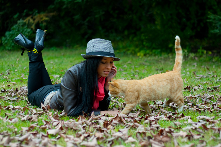 повелительница кошек