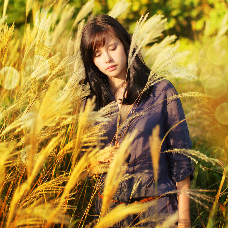 на закате II