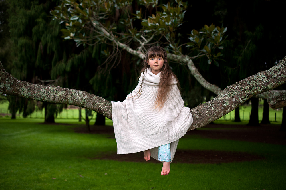 Alice in the country of birds