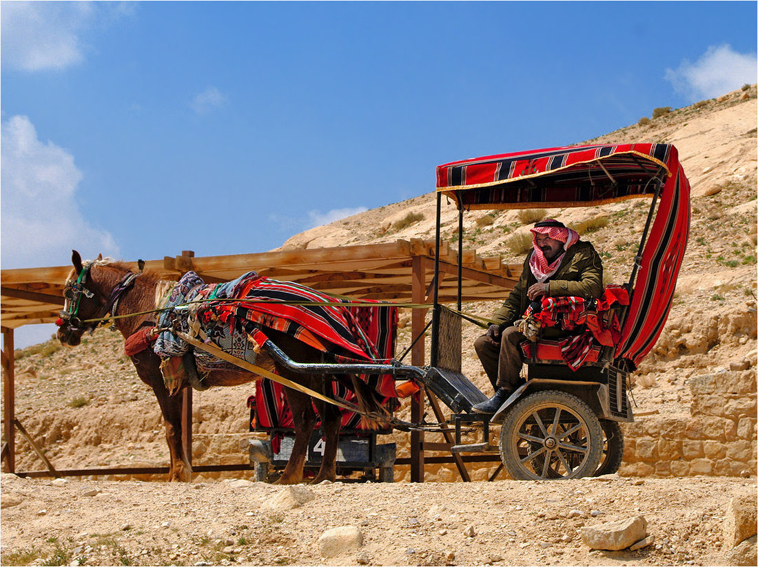 Таксист из Вади-Муса