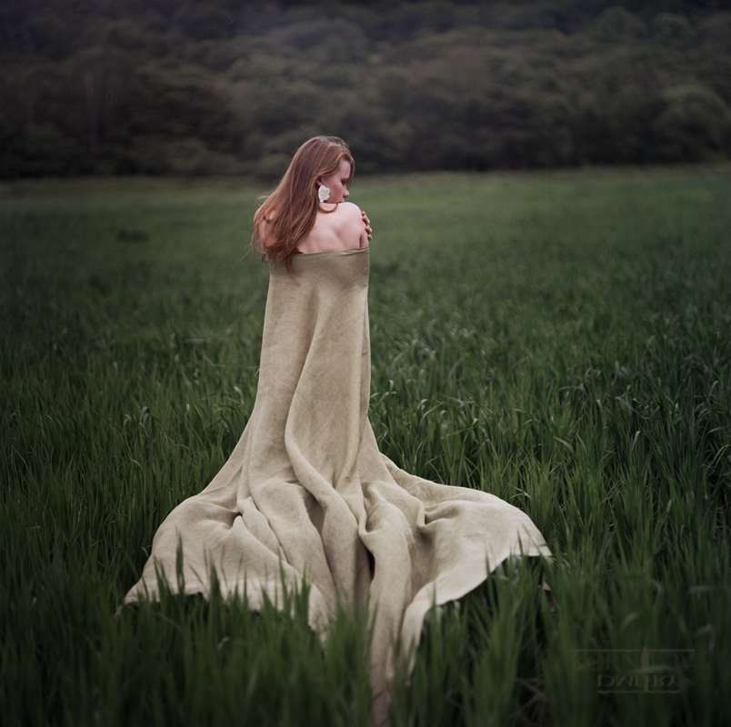 Insert the beautiful name here