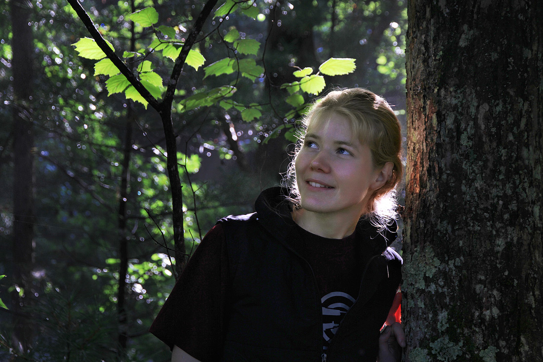 Утро в лесу