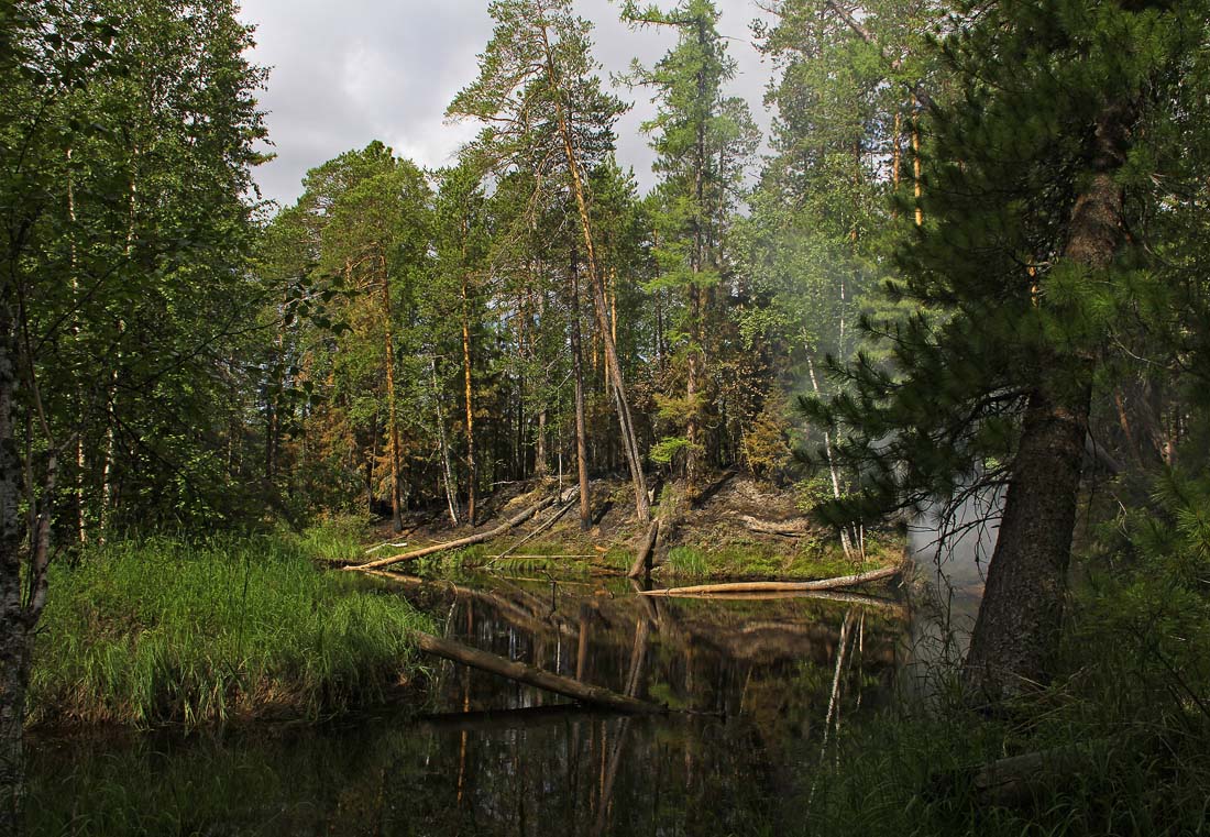 Глушь горелая