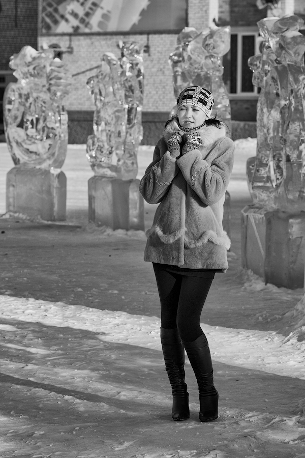 Морозным, ветренным днём февраля...