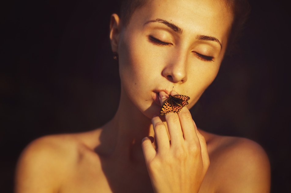 the butterfly effect