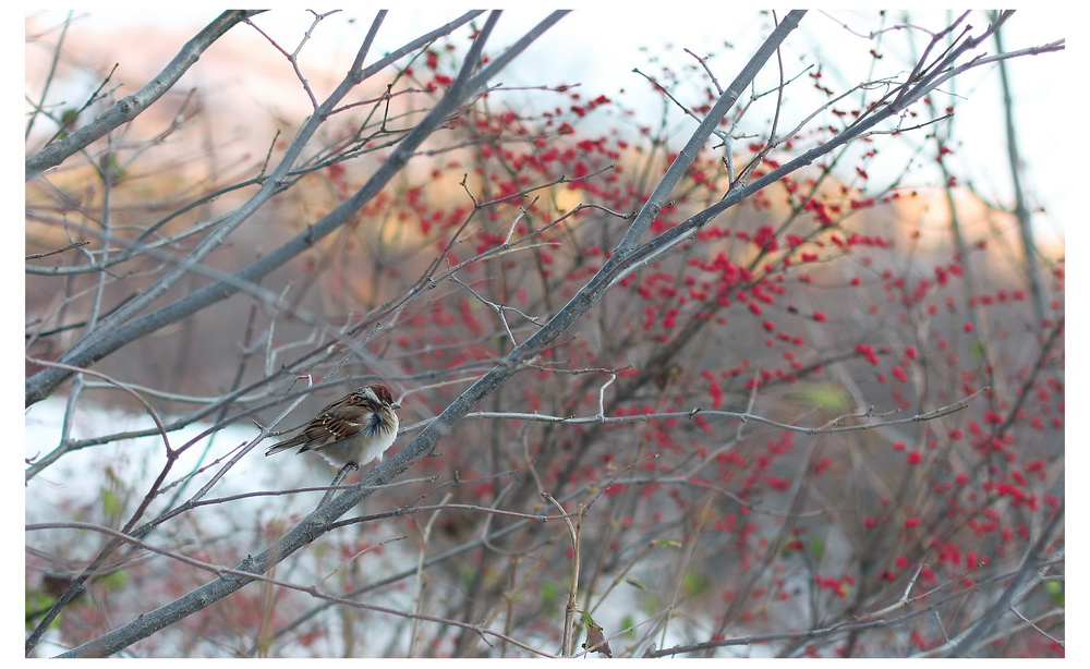 Первые морозы