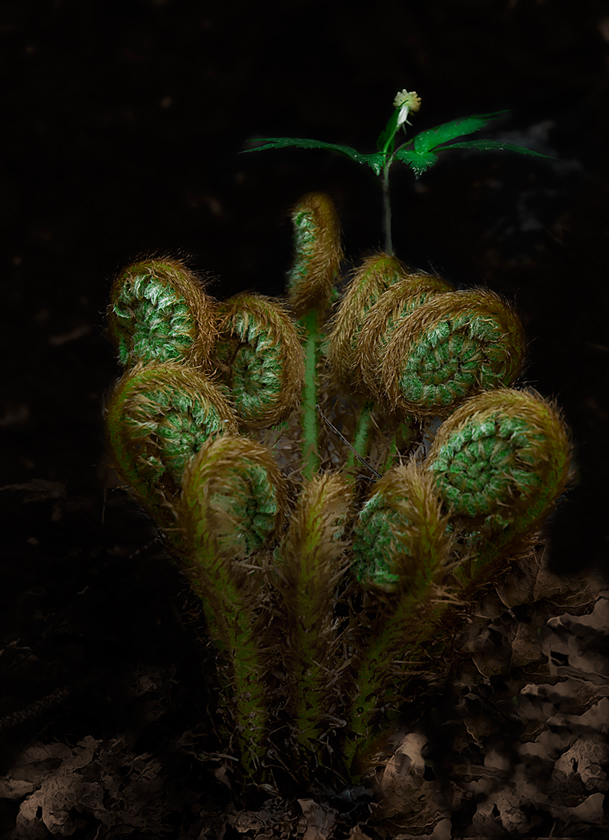 просыпается