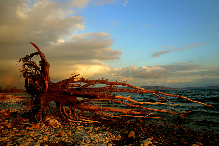 ... день прошёл