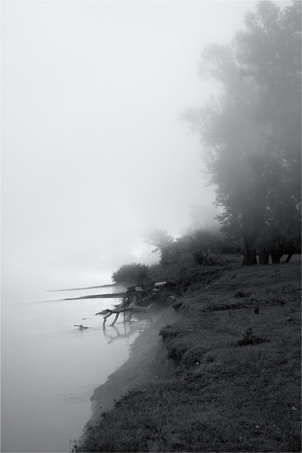 Наедине с туманом, 3