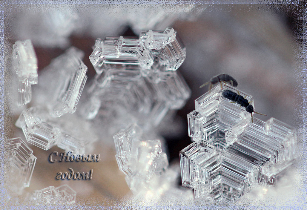 С наступающим!