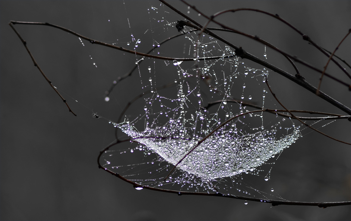 Всё ли в порядке