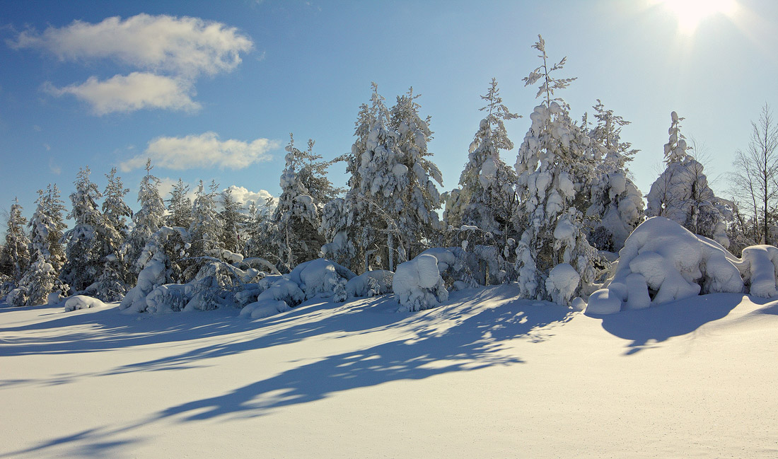 Придорожный вид