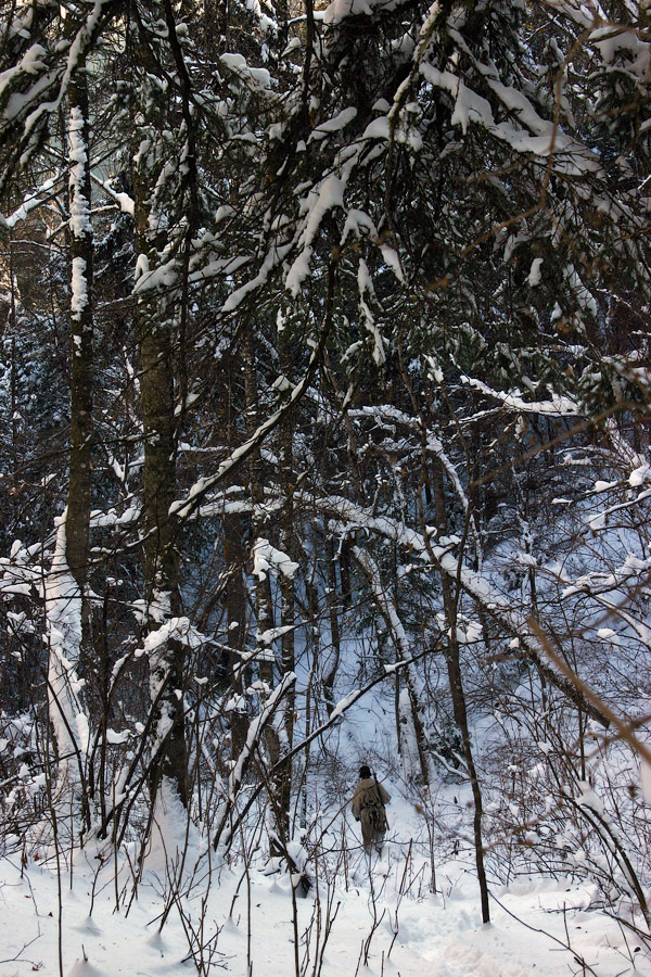 По следу соболя