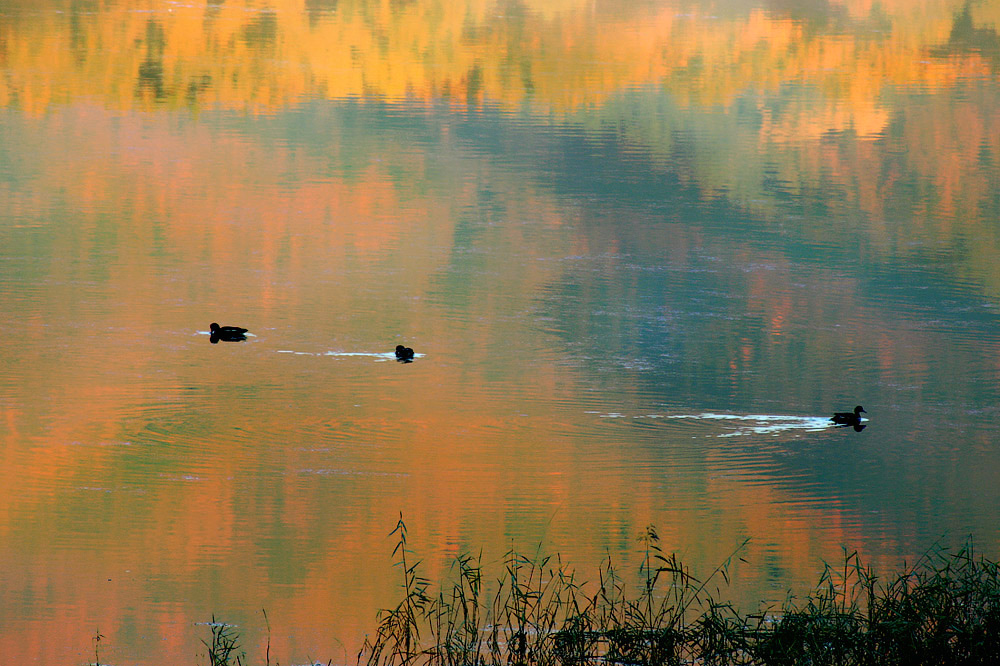 Осень на озере
